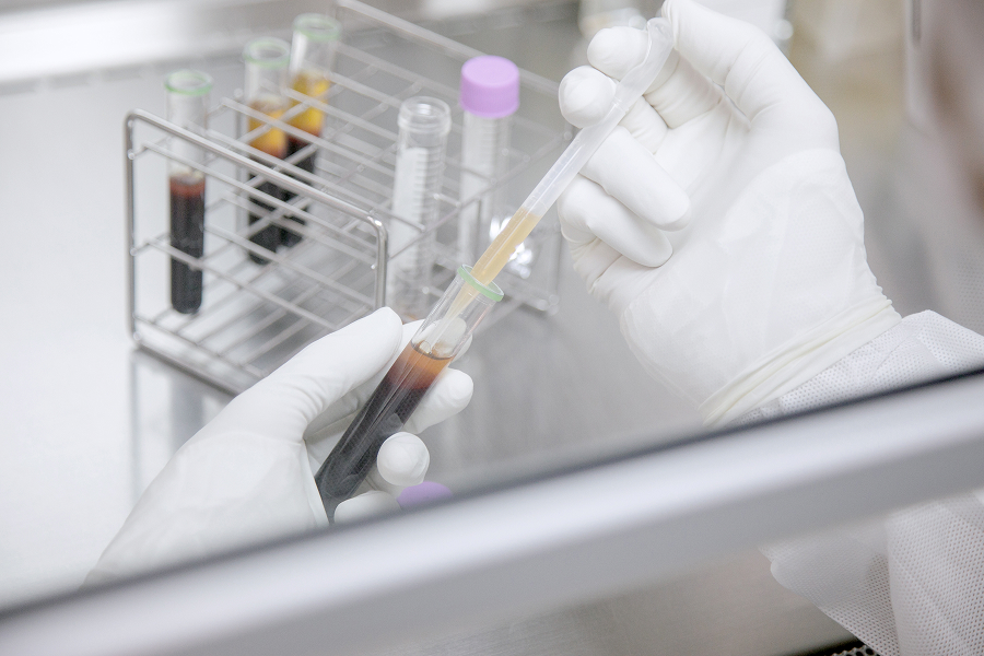 PFC-FD作成の様子